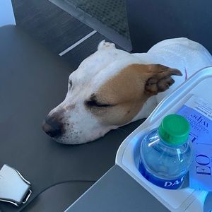 Meet your Posher, Julia